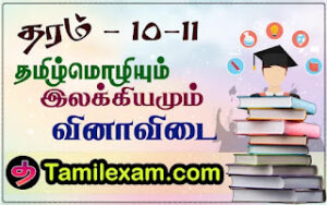 வினாவிடை தொகுப்பு தமிழ்மொழியும்  இலக்கியமும் தரம் 10,11